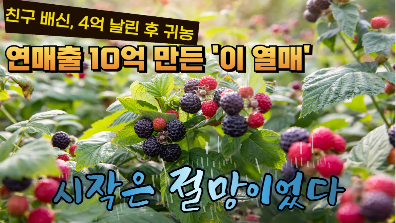 연매출 10억 만든 '이 열매'