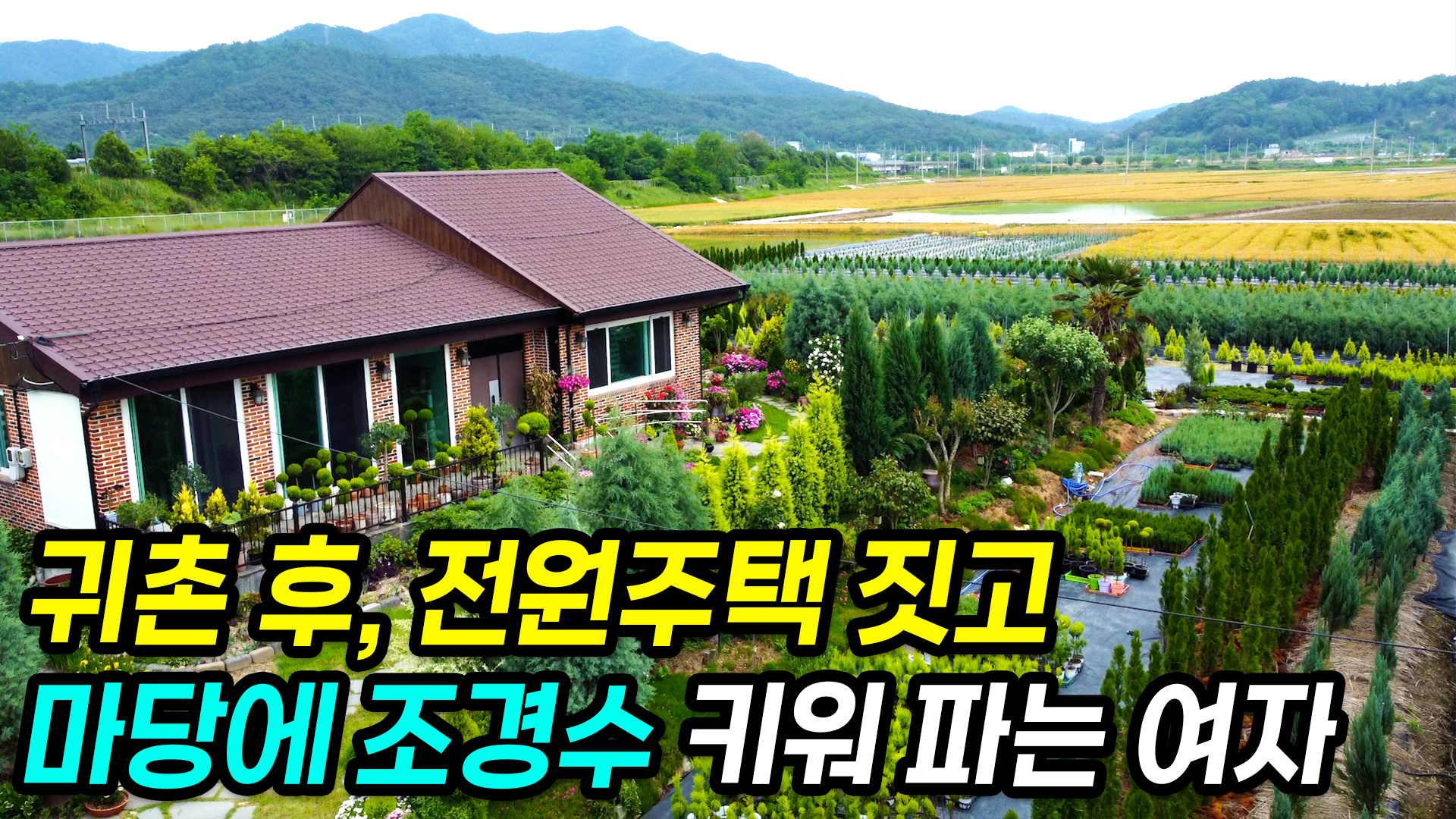 디즈니를 관두고 시골로? 나주에서 조경수로 월 천만원 달성한 비법