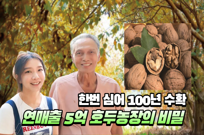 한번 심어 100년 수확 연매출 5억 호두농장의 비밀