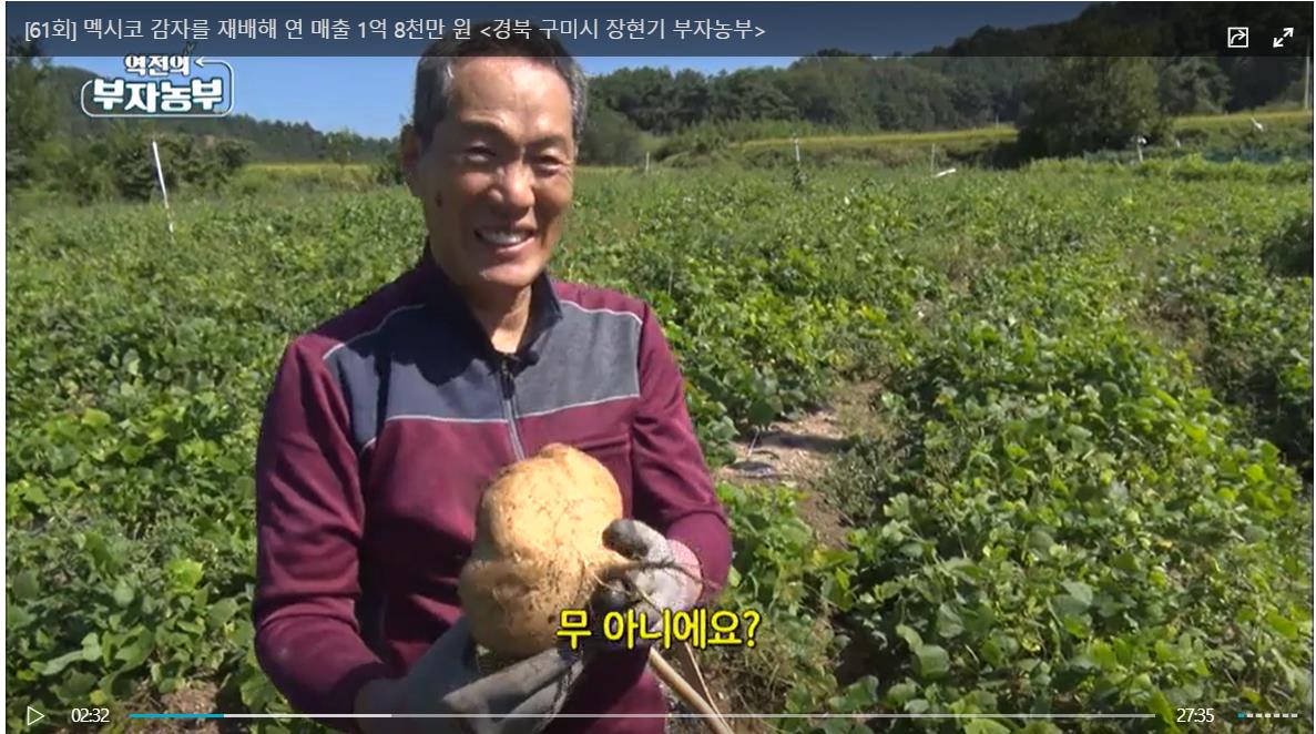멕시코 감자'히키마' 키워 연매출 1억8000만워원올려
